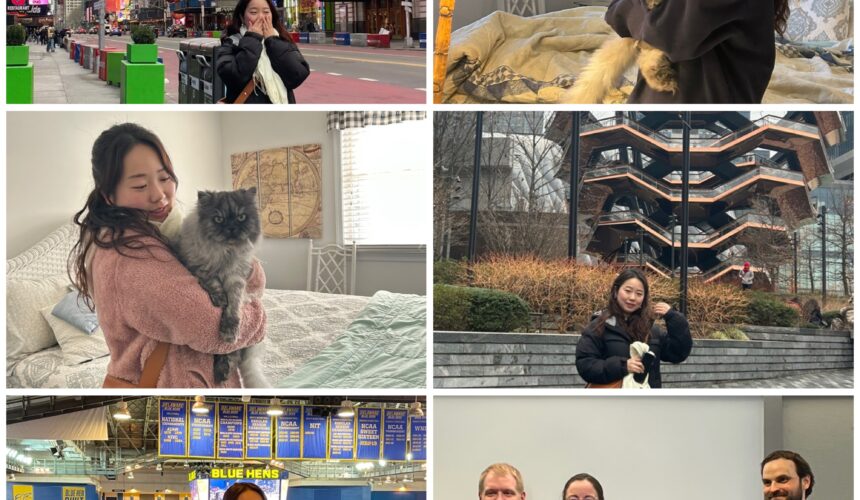 KIM-Mirae_Photo-2 Mirae Kim