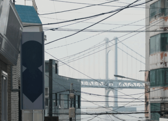 Fulbright INFUSION Vol. 16